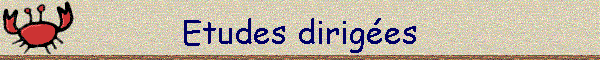 Etudes diriges